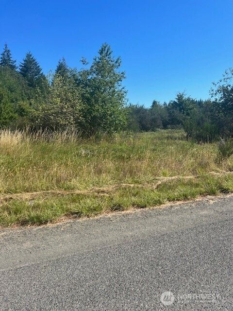 0 Garden Hill Rd E Elma WA 98541