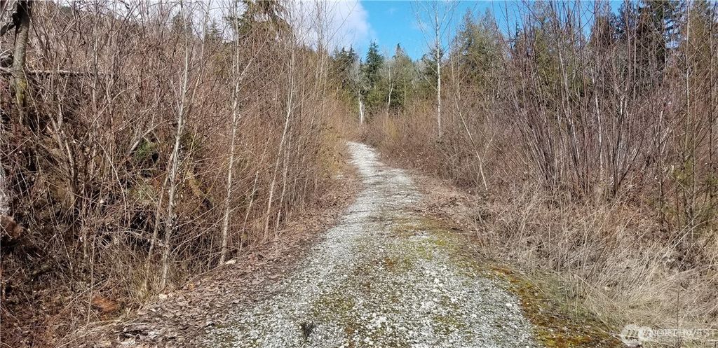 Photo of 0 XXXX Valley Highway, Acme, WA 98220 (MLS # 2465486)