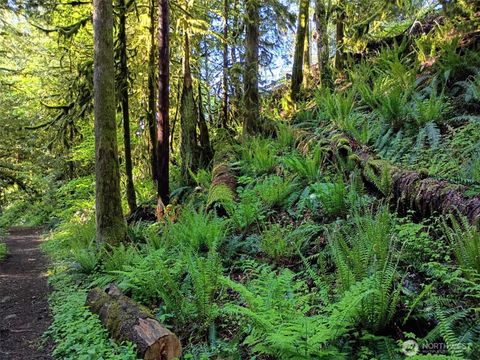  Maple Falls WA 98266