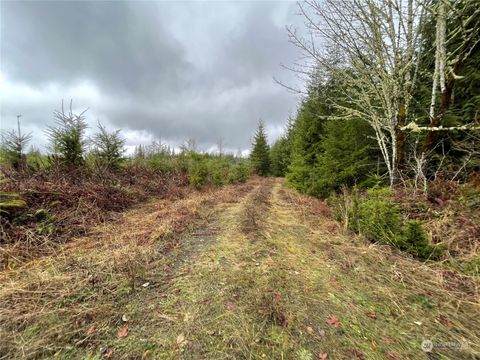 10 Oppelt Road Onalaska WA 98570