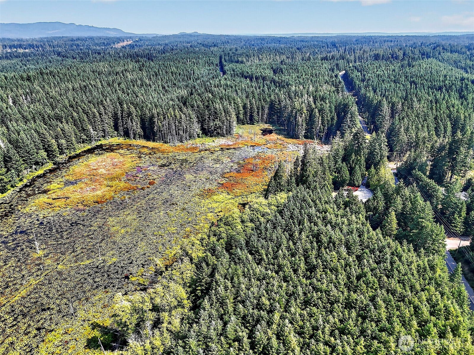 9598 JM Dickinson Road SW