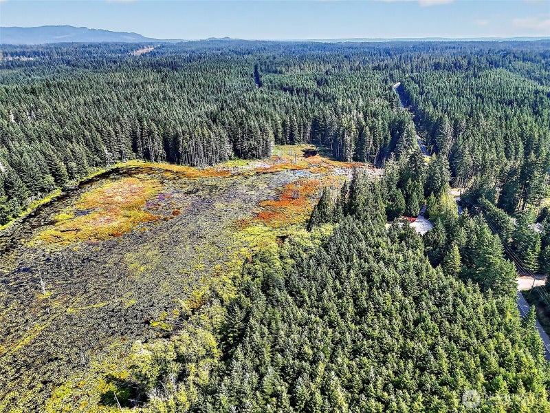 9598 JM Dickinson Road SW