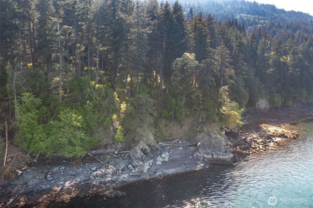 Photo of 104 Barn Owl Trail, Orcas Island, WA 98245 (MLS # 2485459)