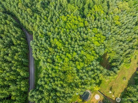 0 Grand Ridge Road Toutle WA 98649