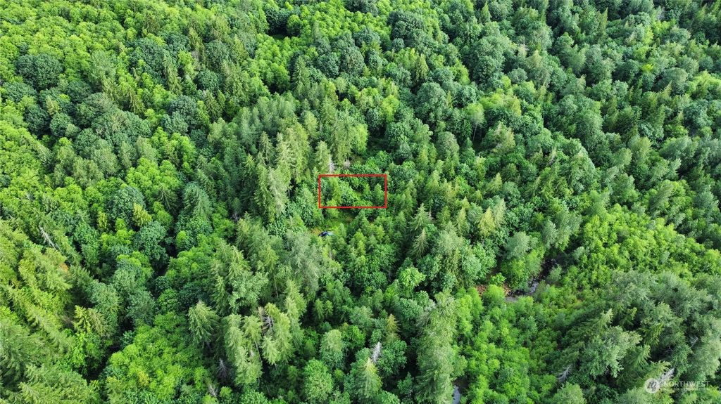 Photo of 0 Miller River Road, Skykomish, WA 98288 (MLS # 2259017)