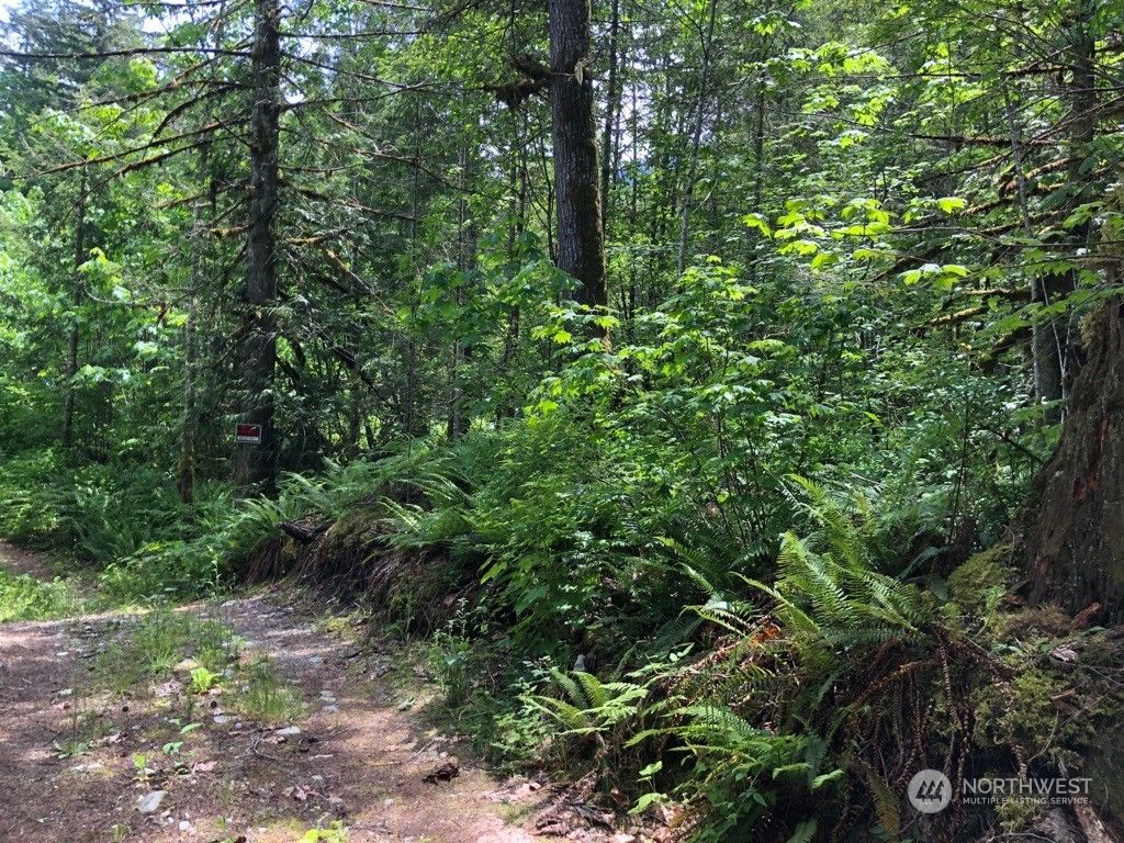 Photo of 0 Miller River Road, Skykomish, WA 98288 (MLS # 2259017)