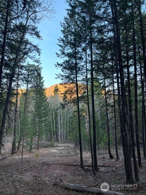 Photo of 0 West Buttermilk Creek Road, Twisp, WA 98856 (MLS # 2505860)