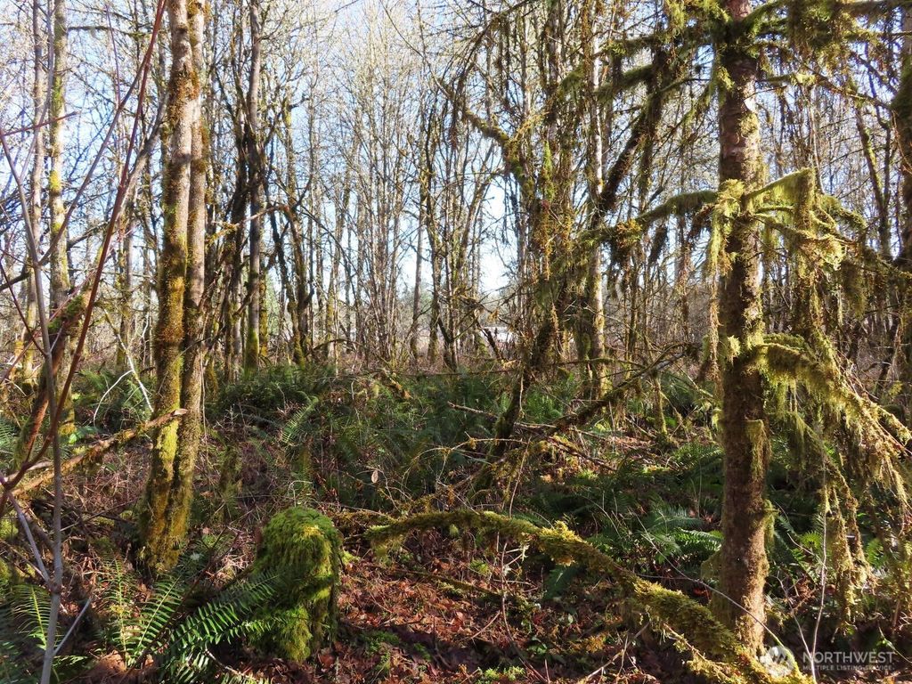 Photo of 115 Campground Lane, Winlock, WA 98596 (MLS # 2471626)