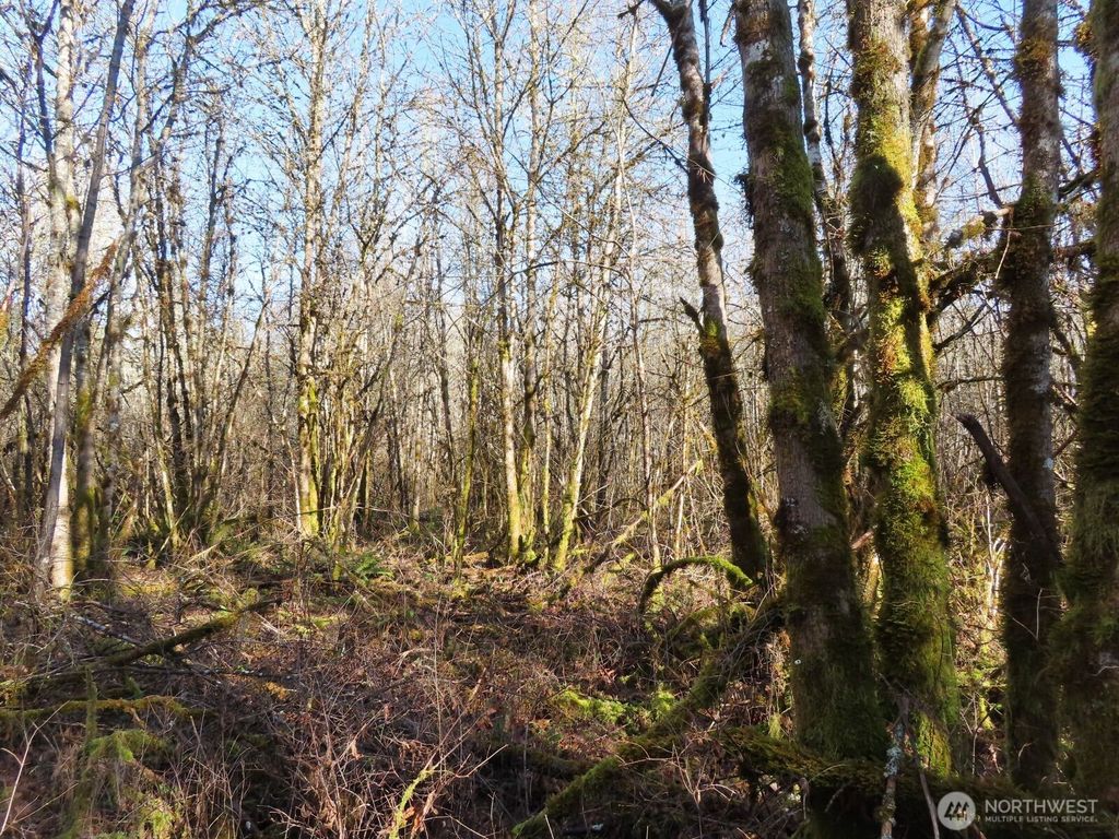 Photo of 115 Campground Lane, Winlock, WA 98596 (MLS # 2471626)