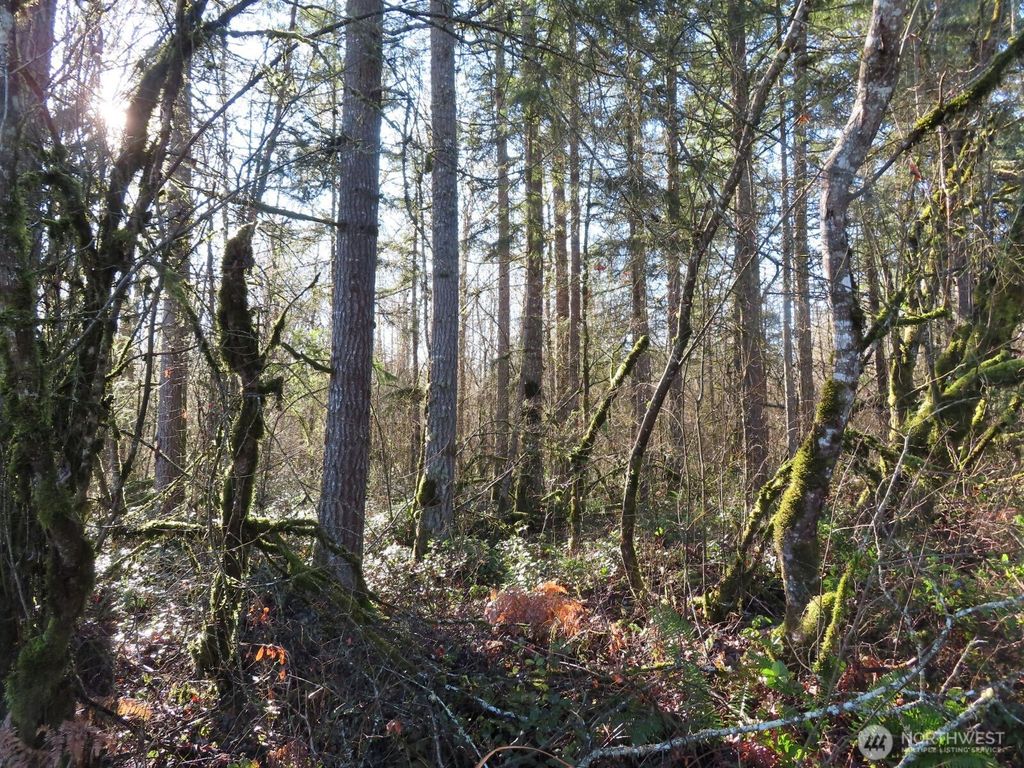 Photo of 115 Campground Lane, Winlock, WA 98596 (MLS # 2471626)