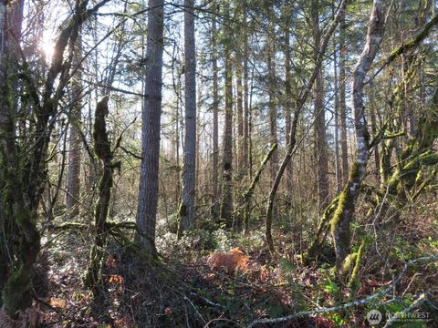 Photo of 115 Campground Lane, Winlock, WA 98596 (MLS # 2471626)