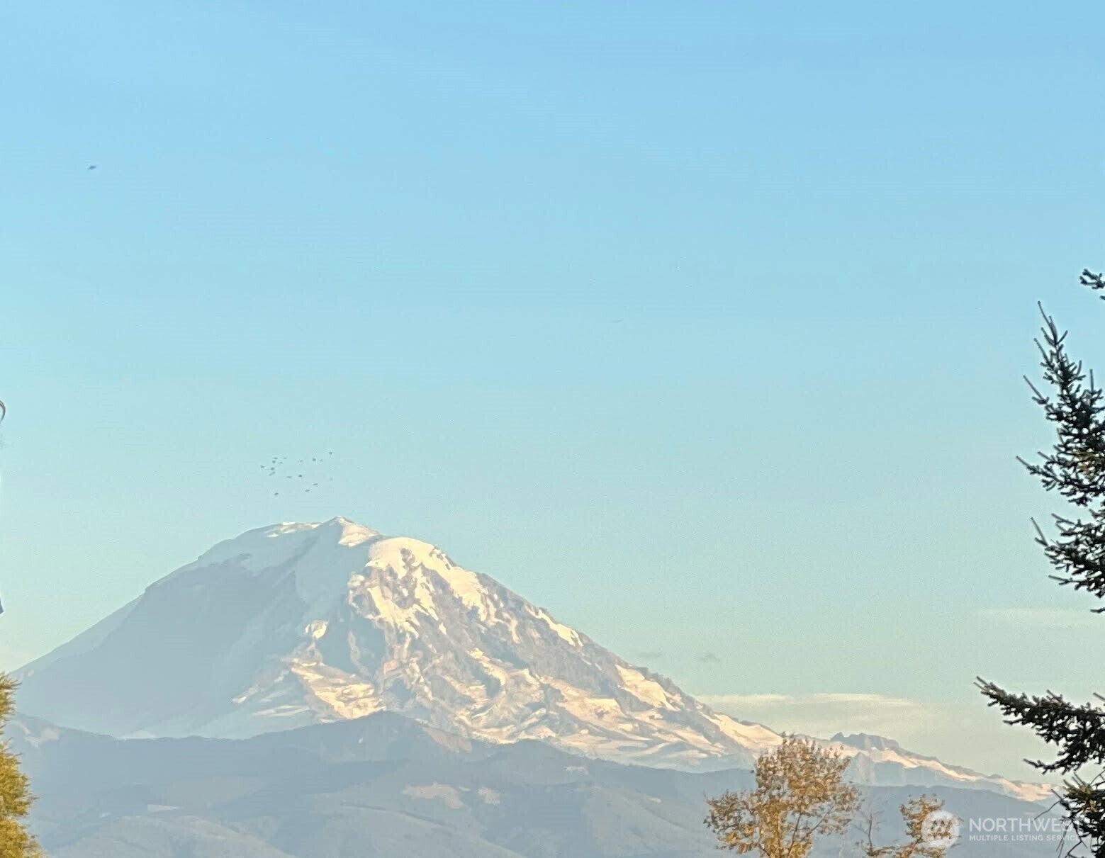 42703 Auburn Enumclaw Road SE