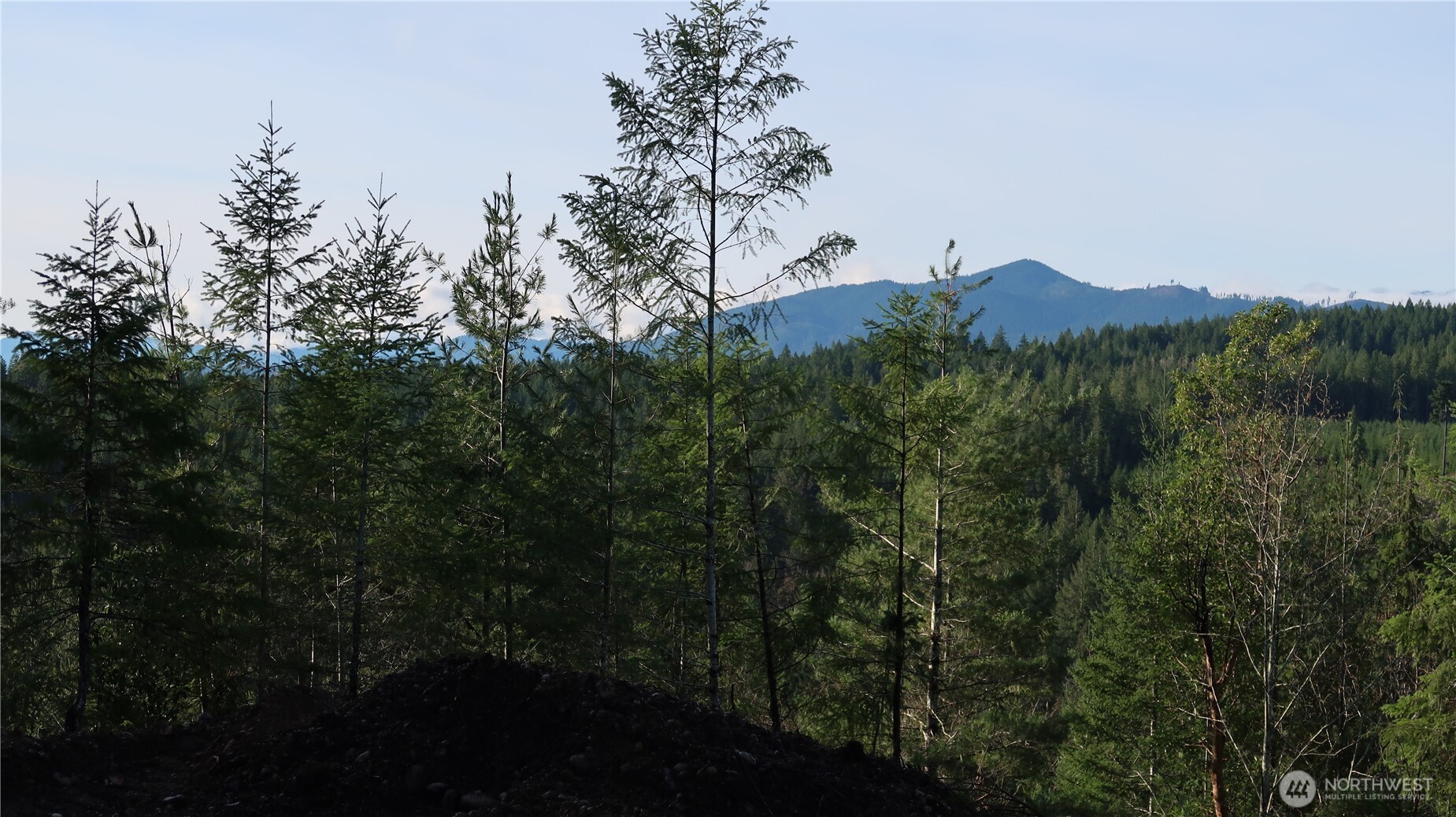 2180 NE Holly Dewatto Rd