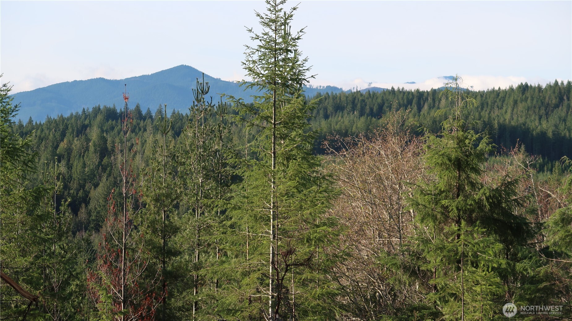 2180 NE Holly Dewatto Rd