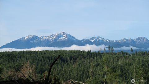 Photo of 2180 NE Holly Dewatto Rd, Tahuya, WA 98588 (MLS # 2458424)