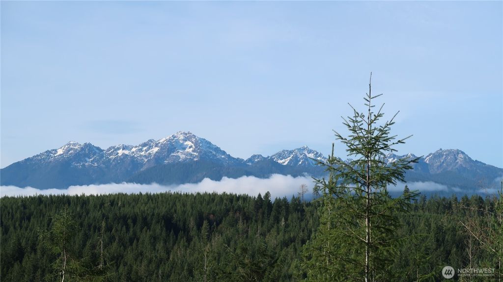 Photo of 2180 NE Holly Dewatto Rd, Tahuya, WA 98588 (MLS # 2458424)