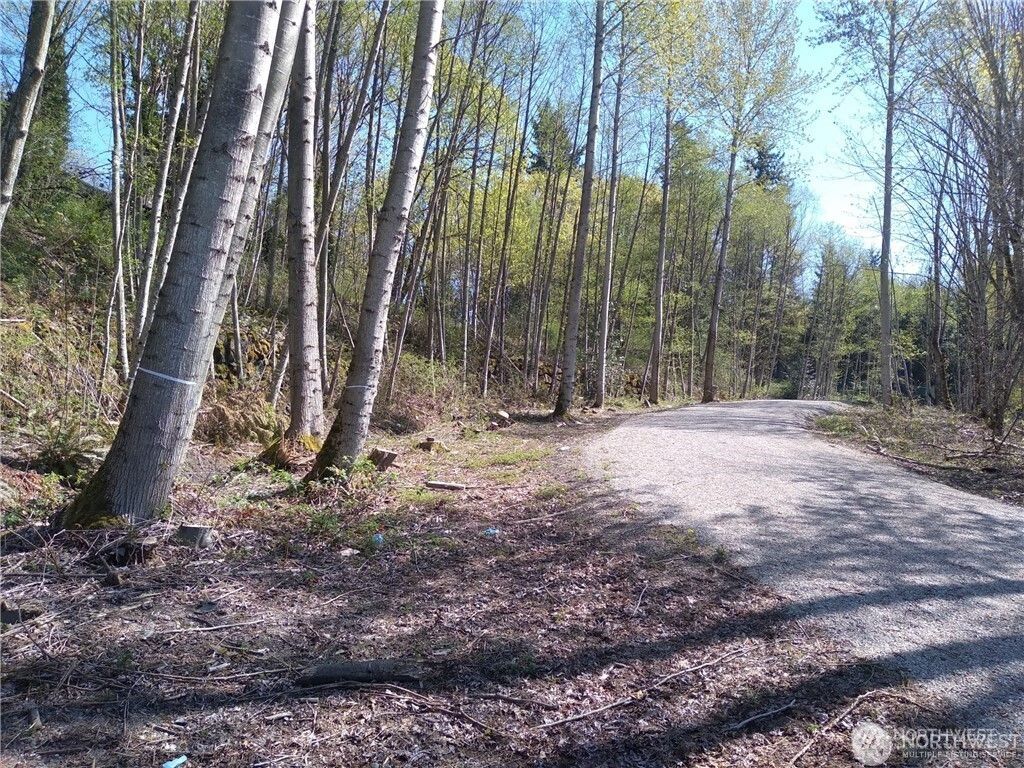 Photo of 10043 SE Carr Road, Renton, WA 98055 (MLS # 2482243)