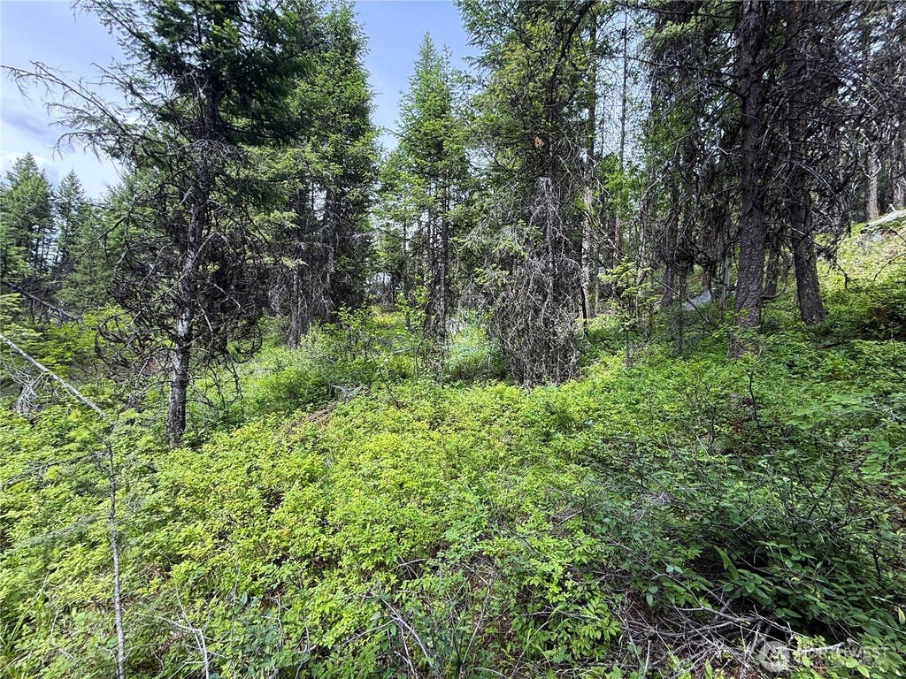 Photo of 0 Mule Deer, Republic, WA 99166 (MLS # 2546726)