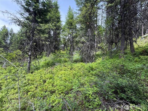 Photo of 0 Mule Deer, Republic, WA 99166 (MLS # 2546726)