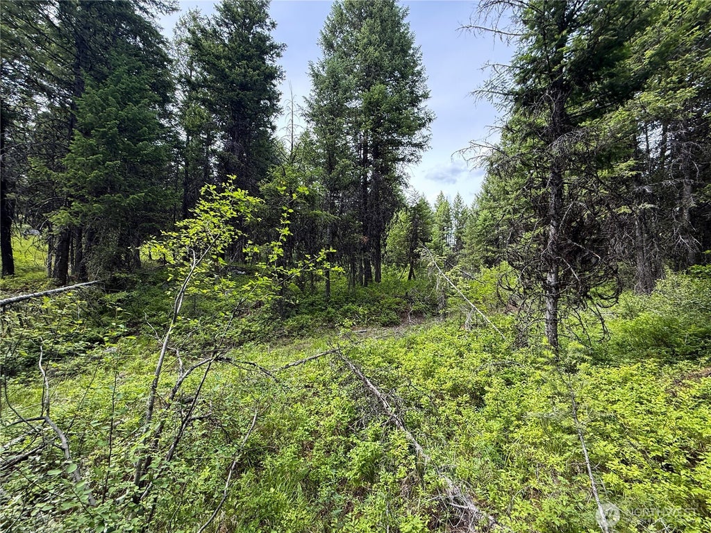 Photo of 0 Mule Deer, Republic, WA 99166 (MLS # 2546726)