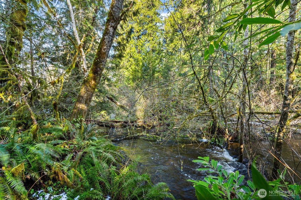 Photo of 0 Libby Road NE, Olympia, WA 98506 (MLS # 2494720)