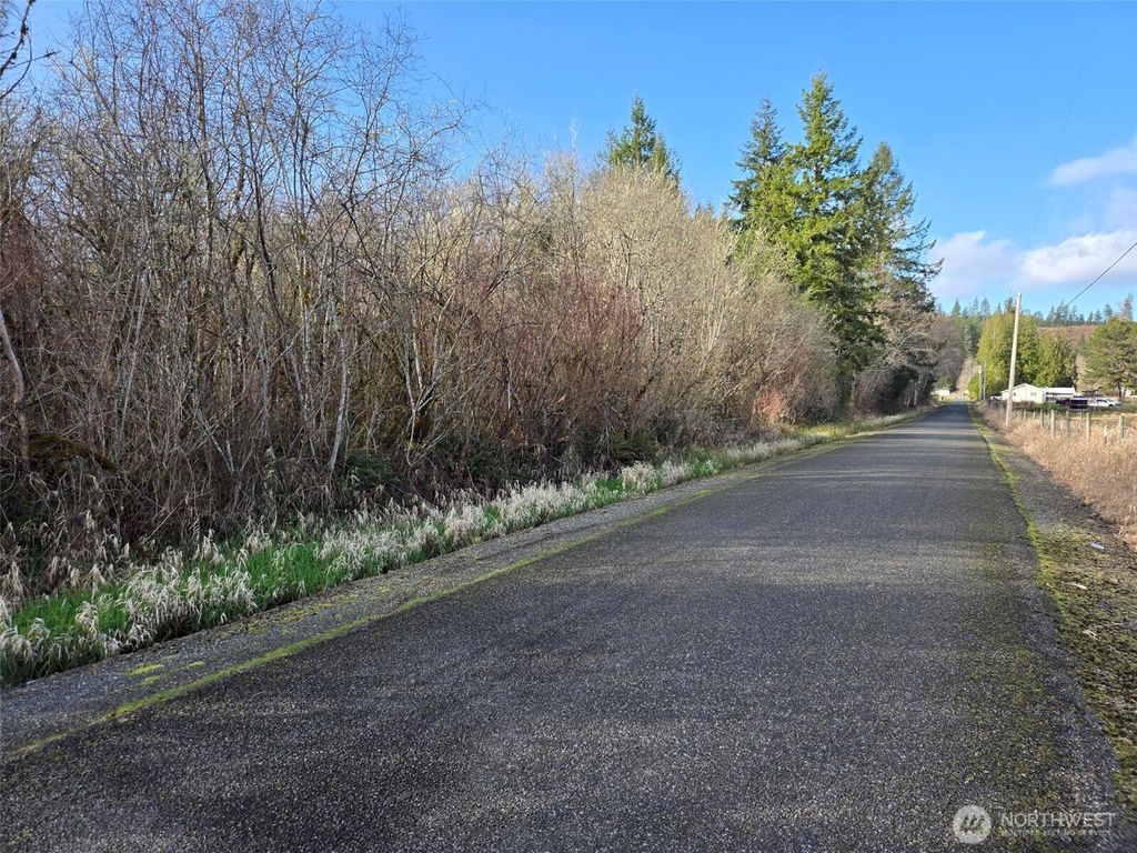 Photo of 0 NKA Moore Road, Elma, WA 98541 (MLS # 2490151)