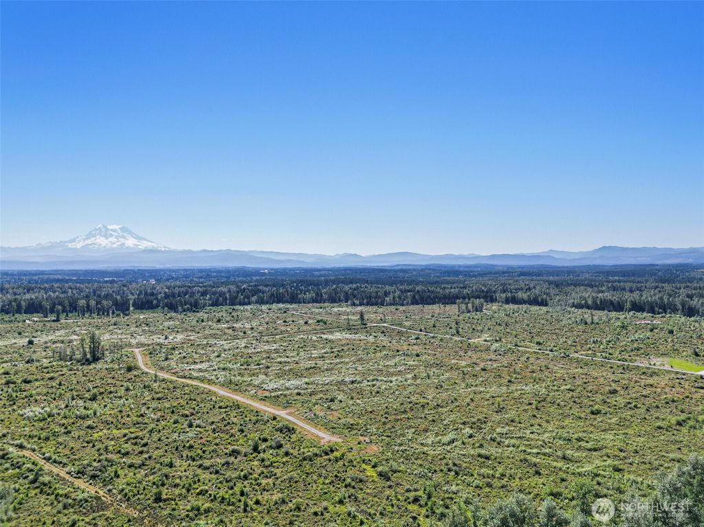 Photo of 1409 330th Street Ct E, Roy, WA 98580 (MLS # 2484661)