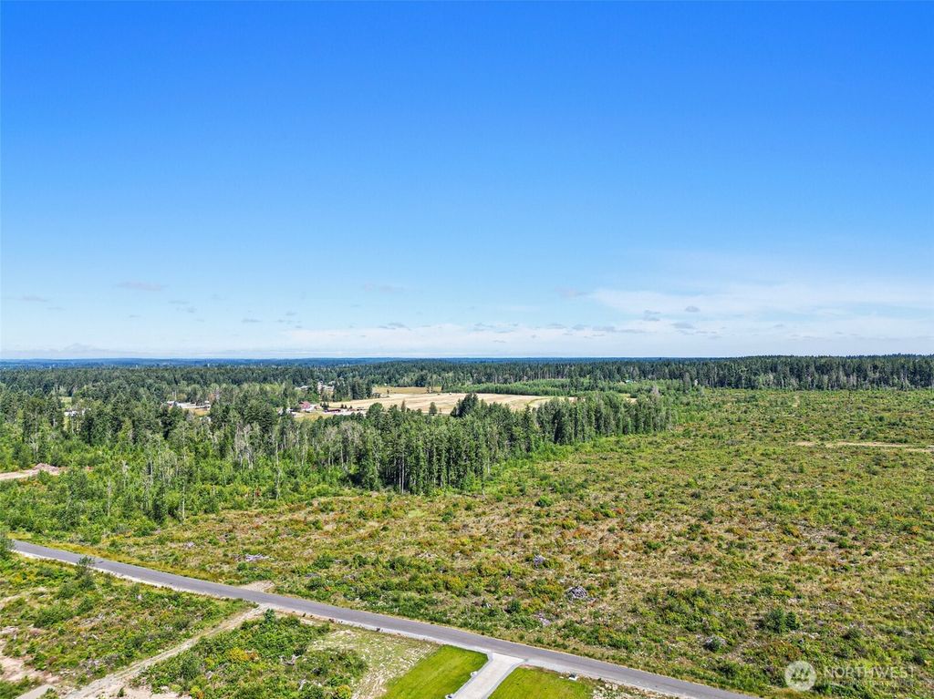 Photo of 1409 330th Street Ct E, Roy, WA 98580 (MLS # 2484661)