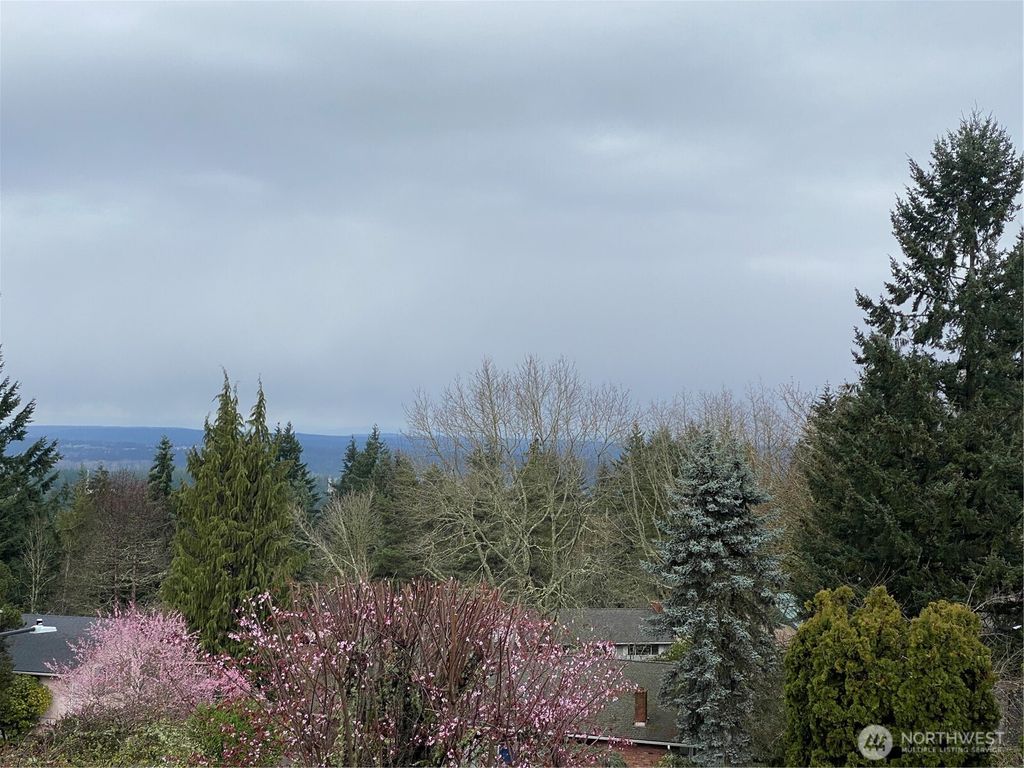 Photo of 14911 SE 49th Street, Bellevue, WA 98006 (MLS # 2492516)