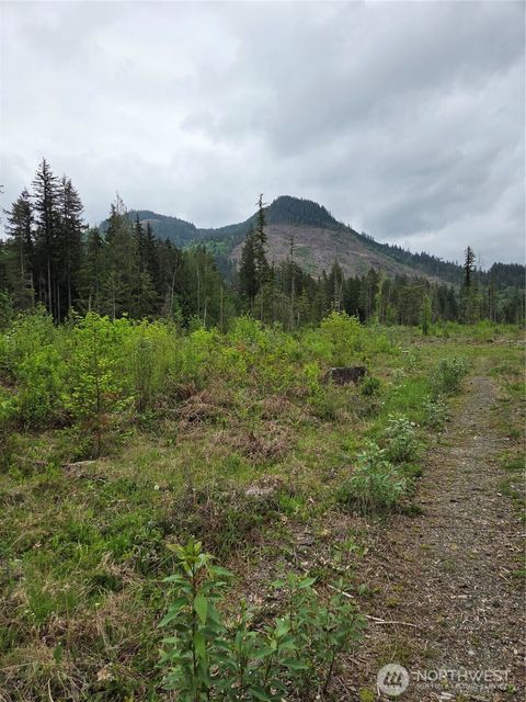 Photo of 0 WA-547, Sumas, WA 98295 (MLS # 2520772)