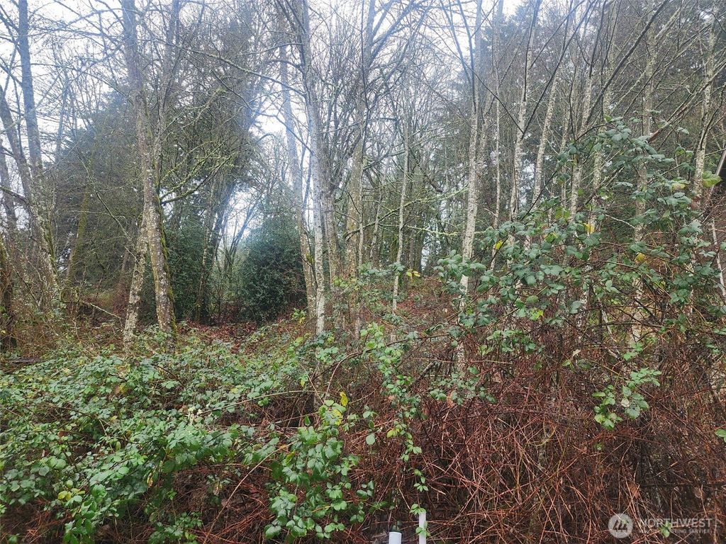 Photo of 679 17th Avenue NW, Issaquah, WA 98027 (MLS # 2465280)