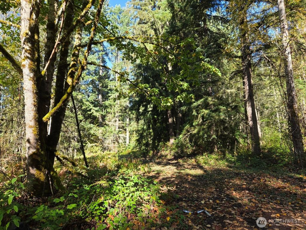Photo of 16616 NE Woodinville-Duvall Road, Woodinville, WA 98072 (MLS # 2496435)