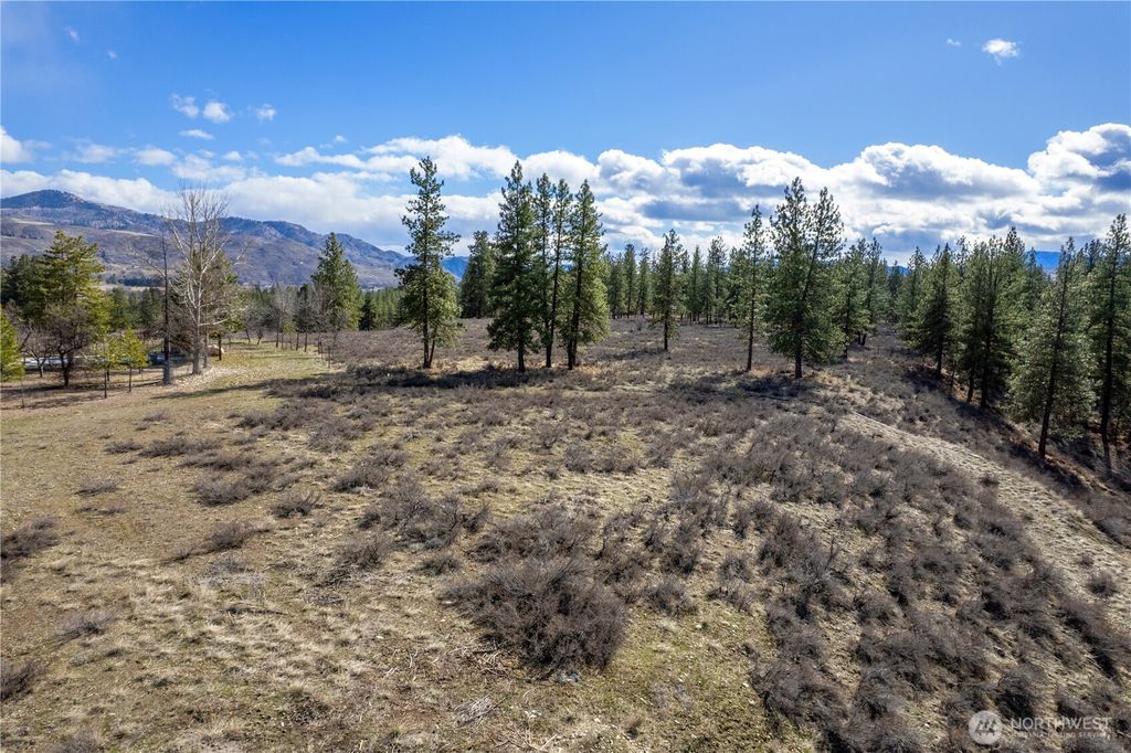 Photo of 40 TBD Rabbit House Road, Winthrop, WA 98862 (MLS # 2492467)