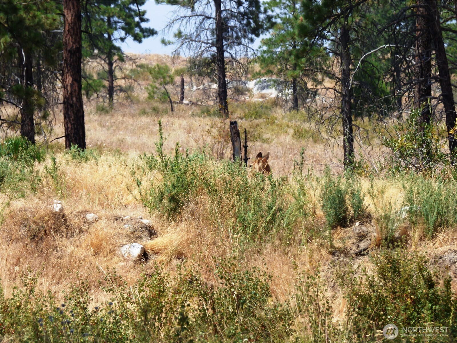 0 Mountain Point Rd