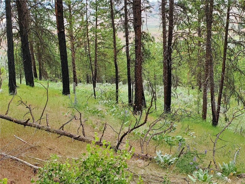 0 Tunk Creek Road