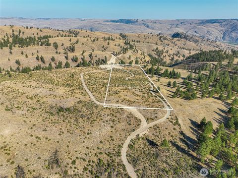 0 Evergreen Camp Rd. Parcel C Chelan WA 98816