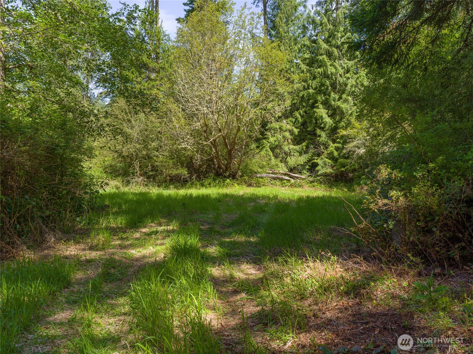 1486 Center Road