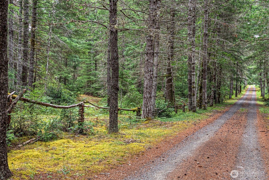 Photo of 101 NE Smithy Forge Lane, Belfair, WA 98528 (MLS # 2545763)
