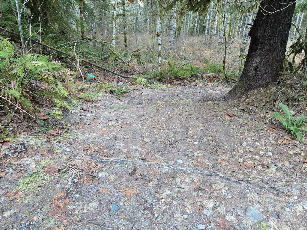 Photo of 22222 Zyman Road, Darrington, WA 98241 (MLS # 2314986)