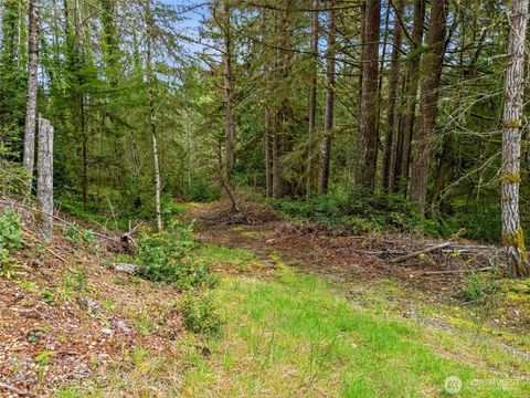 Photo of 71 E Sleaford Road, Shelton, WA 98584 (MLS # 2475199)