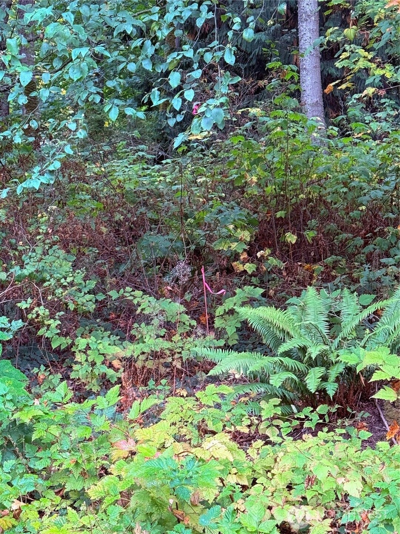 106 Port Susan Drive