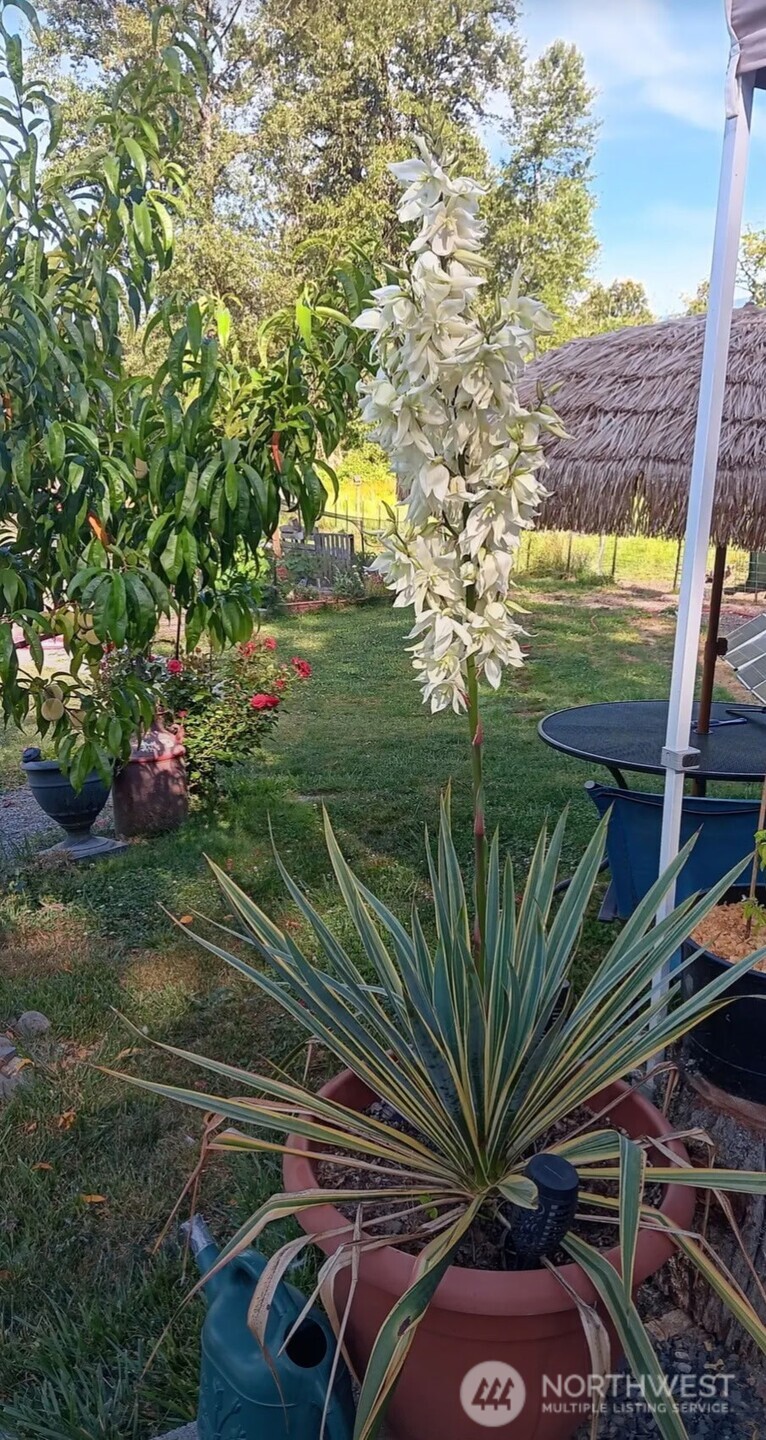 47367 State Route 20