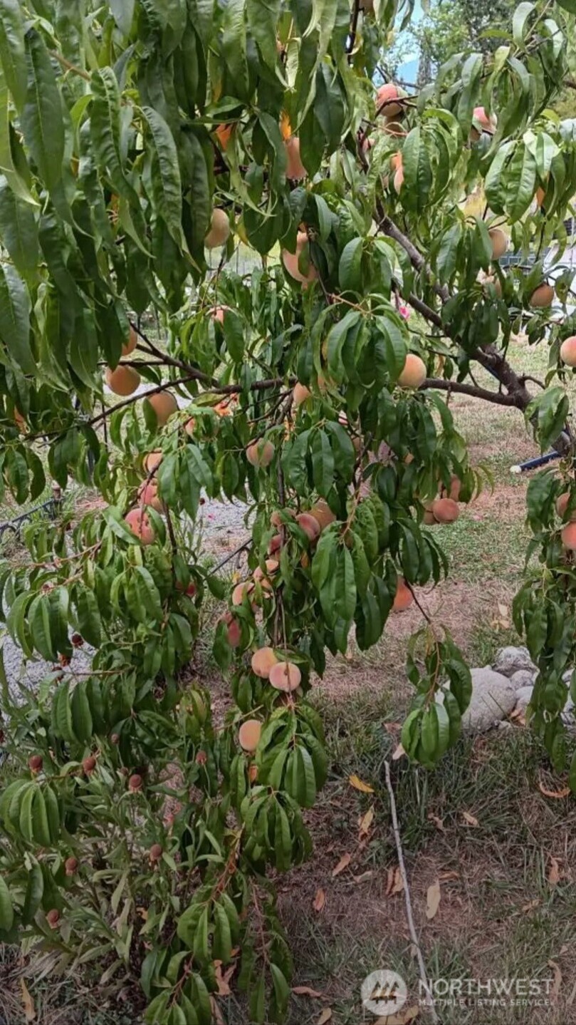 47367 State Route 20