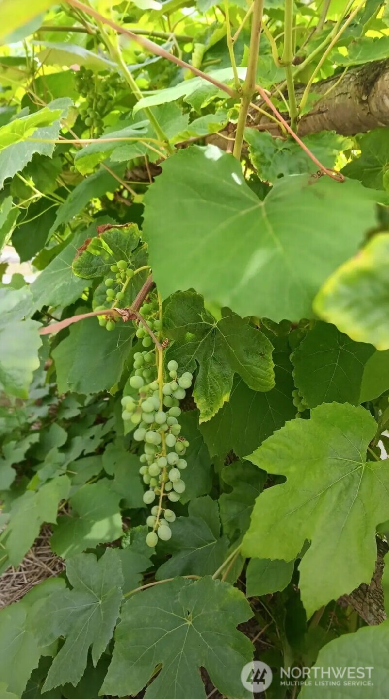 47367 State Route 20