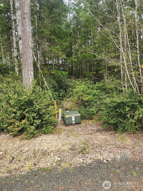 Photo of 51 E Blackberry Lane, Union, WA 98592 (MLS # 2506270)