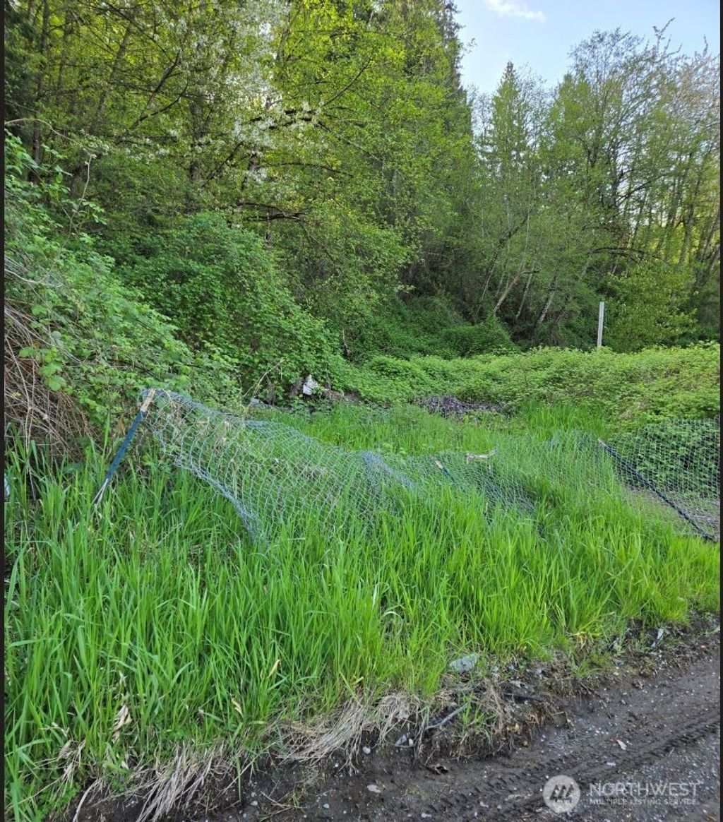 Photo of 2306 W Valley Highway E, Edgewood, WA 98372 (MLS # 2498917)