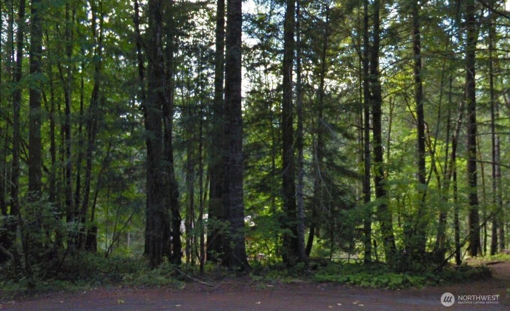 Photo of 0 Cottonwood Road, Packwood, WA 98361 (MLS # 2496859)