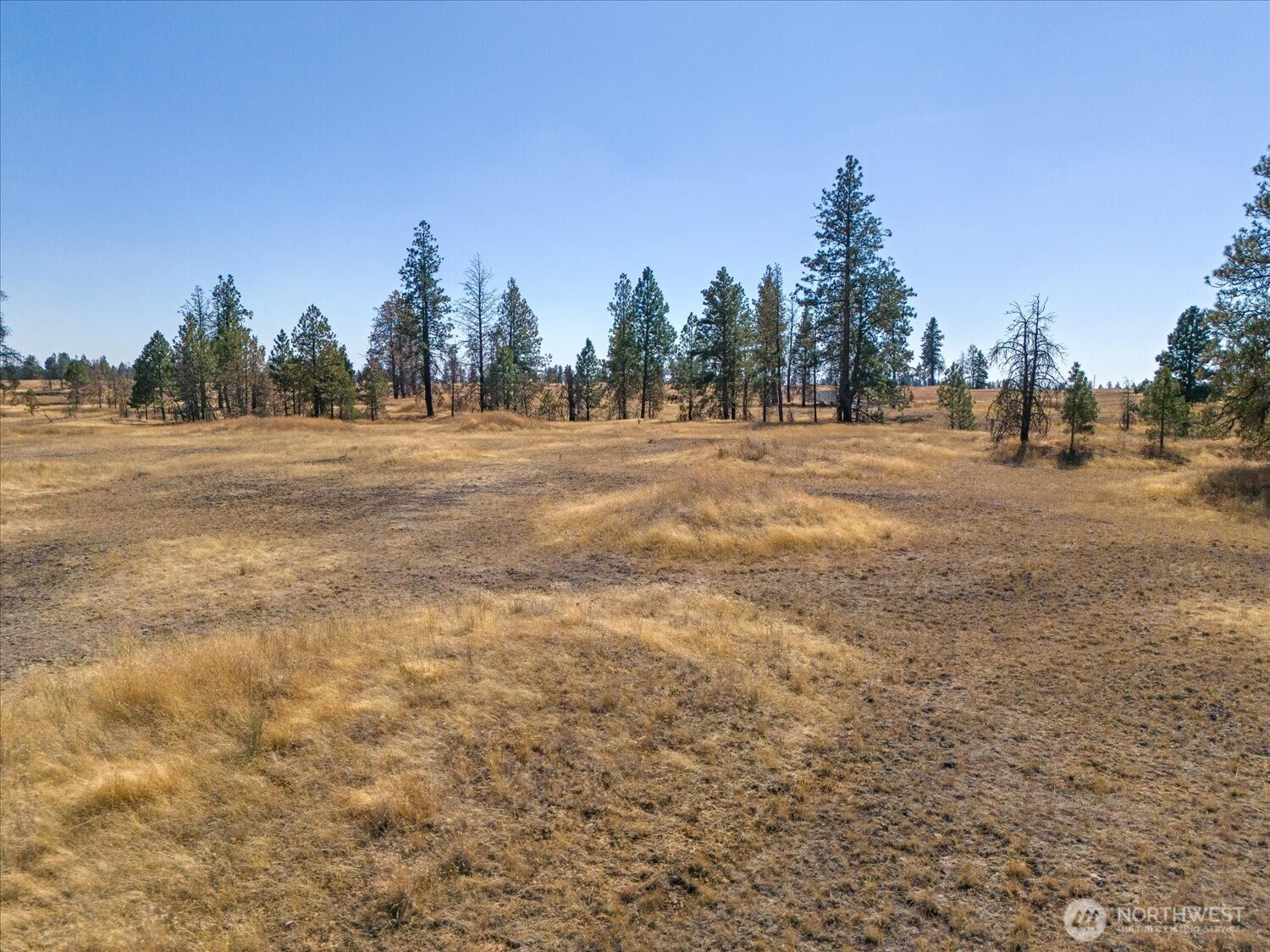 36377 S Bootstrap Ln
