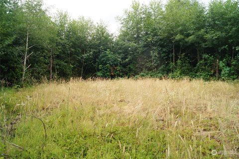 0 Wynooche Wishkah Road Montesano WA 98563