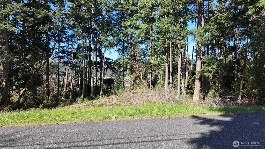 Photo of 0 Wagner Road, Camano Island, WA 98282 (MLS # 2507504)